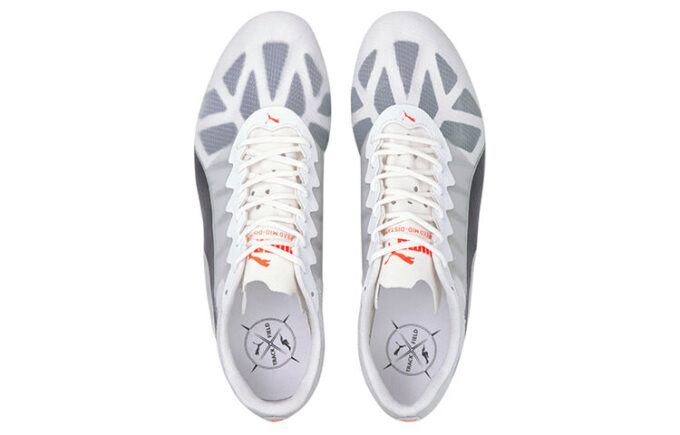 Zapatillas deportivas Evospeed gris/negro