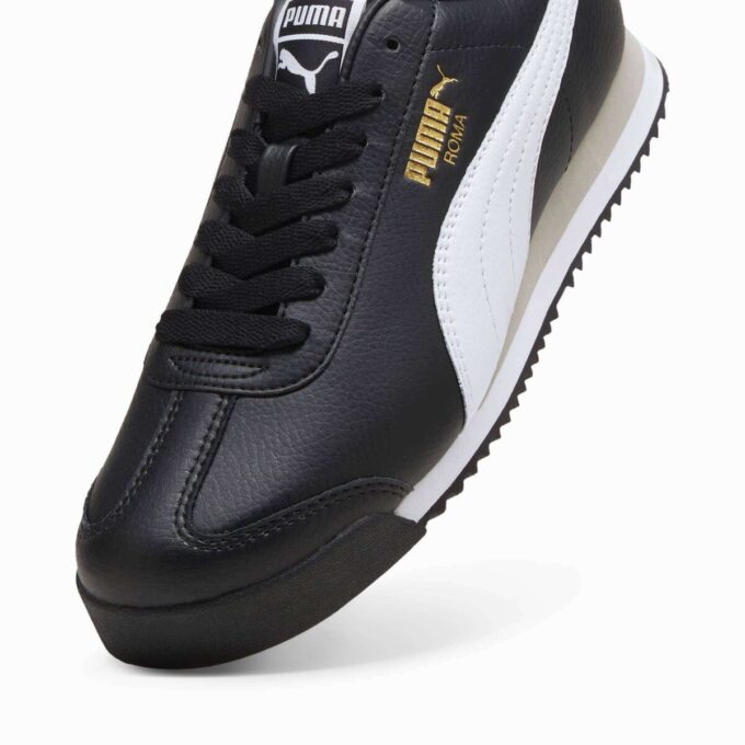 Zapatillas Roma 24 Zapatillas Roma 24