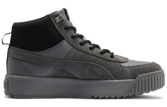 Zapatillas Tarrenz SB grises