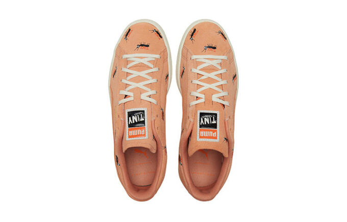 Zapatillas/zapatillas Tiny Cottons x Suede