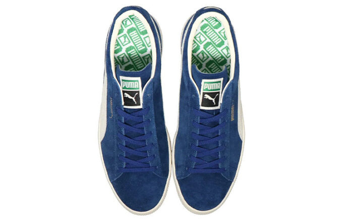 Zapatos de skate “Azul Gris”